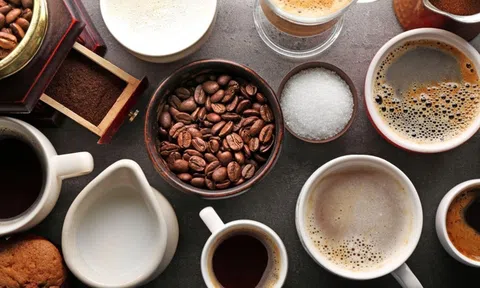 Giá cà phê hôm nay 12/6/2025: Quay đầu giảm nhẹ