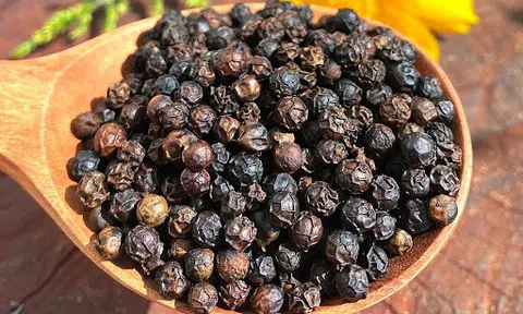 Giá tiêu hôm nay 13/6/2025: Thế giới dậy sóng, thị trường trong nước vẫn đi ngang