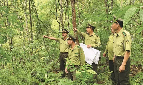 Đẩy mạnh phân cấp, phân quyền trong lĩnh vực bảo tồn thiên nhiên
