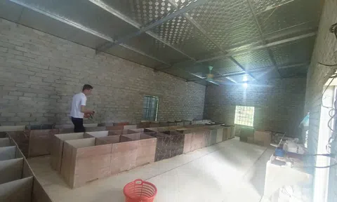 Thanh niên vùng khó từng bước thoát nghèo nhờ nuôi dúi