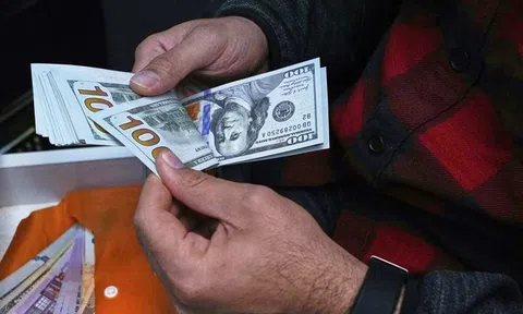 Tỷ giá USD hôm nay 23/6/2025: Ngân hàng nhà nước công bố mức 25.031 VND/USD