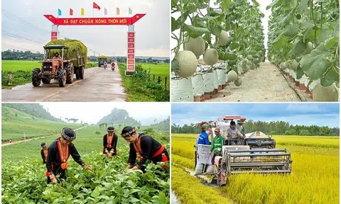 Thanh Hóa: Kết cấu hạ tầng nông thôn được đầu tư đồng bộ