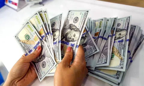 Tỷ giá USD hôm nay 24/6/2025: Giá bán USD giảm tự do