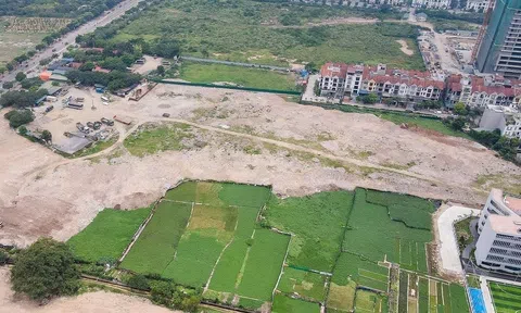 Ninh Bình: Rút ngắn thời gian, đơn giản hóa các thủ tục để đẩy nhanh tiến độ các dự án NƠXH