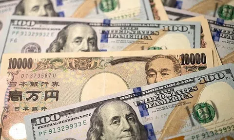 Tỷ giá USD hôm nay 25/6/2025: Đồng USD trong nước tăng mạnh