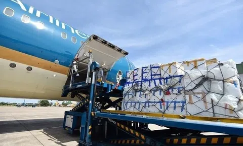 Doanh nghiệp chuyên bốc dỡ hàng hoá tại sân bay đặt mục tiêu lãi kỷ lục 860 tỷ