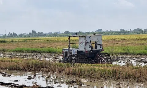 Nguồn nước cơ bản đảm bảo sản xuất vụ hè thu