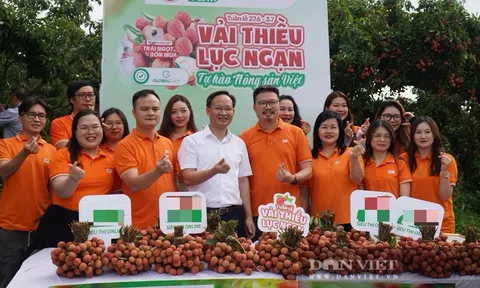 Vị Phó Chủ tịch tỉnh thử làm "Streamer", không ngờ chốt đơn 54 tấn vải chỉ trong vài giờ