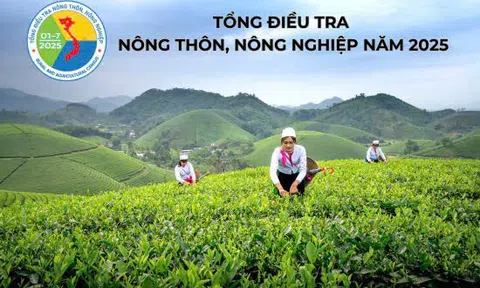 Hải Phòng: Triển khai tổng điều tra nông thôn, nông nghiệp năm 2025