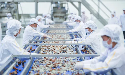 Sơn La: Ưu tiên phát triển nông nghiệp công nghệ cao