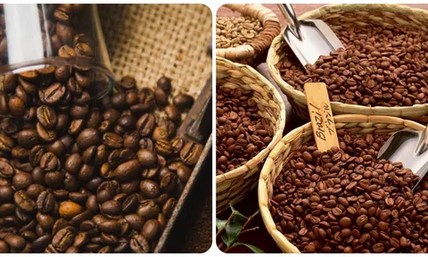 Giá cà phê hôm nay 2/7/2025: Tiếp tục tăng nhẹ trở lại