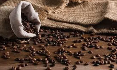 Giá cà phê hôm nay 3/7/2025: Trong nước ổn định, thế giới có biến động