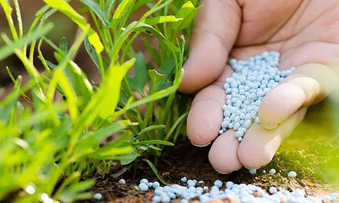 Phân bón chính thức chịu áp thuế 5% từ ngày 1/7