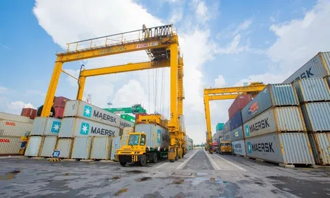 Viconship muốn nhận chuyển nhượng 65% vốn góp tại Công ty TNHH Harbour City