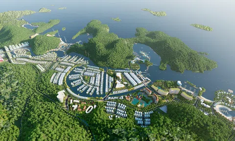 Vinaconex đã sang tay hơn 48,4 triệu cổ phiếu của chủ đầu tư dự án Cát Bà Amatina?