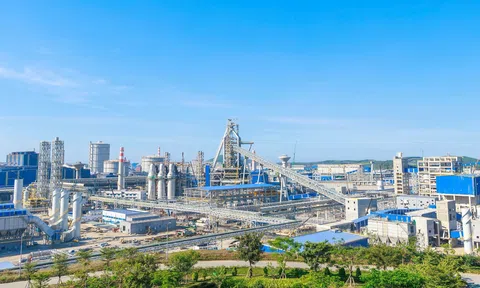 Hòa Phát hoàn tất phát hành gần 1,3 tỷ cổ phiếu trả cổ tức, cổ phiếu lưu hành lên gần 7,68 tỷ