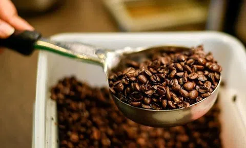 Giá cà phê hôm nay 6/7/2025: Đồng loạt tăng gần 1.000 đồng/kg