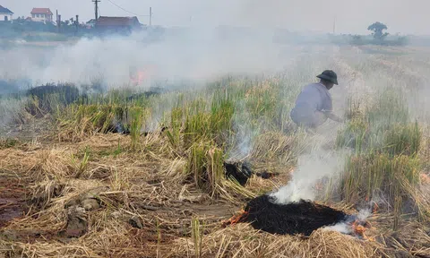 Đốt bỏ phụ phẩm nông nghiệp ngoài đồng là nguyên nhân gây ô nhiễm không khí