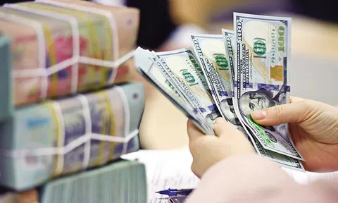 TS. Nguyễn Trí Hiếu: "Tỷ giá có thể tăng ít nhất 5% trong năm nay"