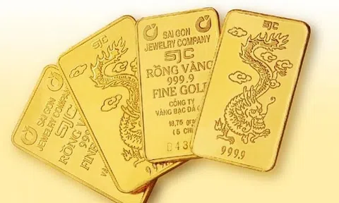 Giá vàng miếng hôm nay 8/7/2025 giảm mạnh về mốc 120,5 triệu đồng/lượng