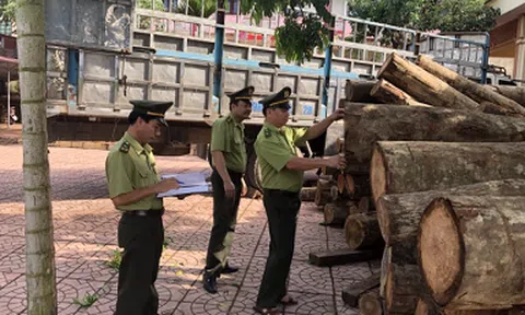 Bộ Nông nghiệp và Môi trường ban hành quy định kiểm tra, truy xuất nguồn gốc lâm sản