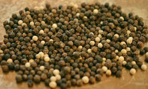 Giá tiêu hôm nay 10/7/2025: Giữ vững phong độ ở ngưỡng 140.000 - 142.000 đồng/kg