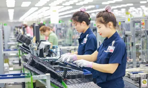 Ngành điện tử Việt Nam trước tác động của thuế quan mới: Cơ hội định hình lại chuỗi cung ứng