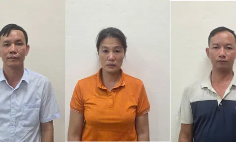 Quảng Ninh: Khởi tố 3 đối tượng vi phạm quy định về khai thác, bảo vệ rừng và lâm sản