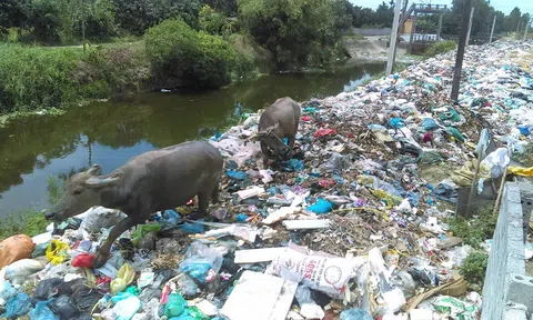 Thủ tướng chỉ đạo quyết liệt ngăn chặn, giải quyết tình trạng ô nhiễm môi trường