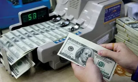 Tỷ giá USD hôm nay 14/7/2025: Đồng USD tiếp tục duy trì đà tăng nhẹ
