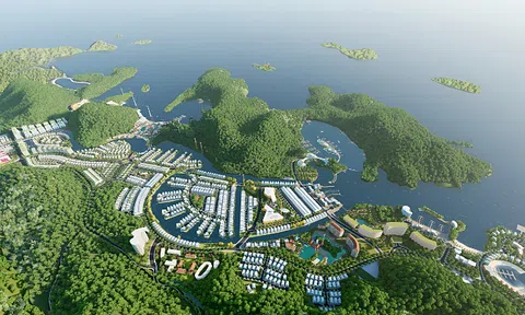 Hai công ty liên quan MIK Group mua thỏa thuận hơn 47% cổ phần tại Vinaconex ITC