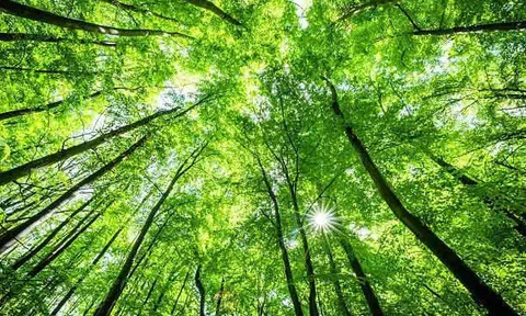 Thanh Hóa: Hiệu quả lớn từ Chương trình ERPA