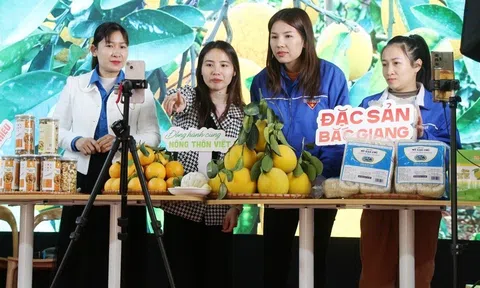 Tăng cường hỗ trợ doanh nghiệp chuyển đổi số trong năm 2025