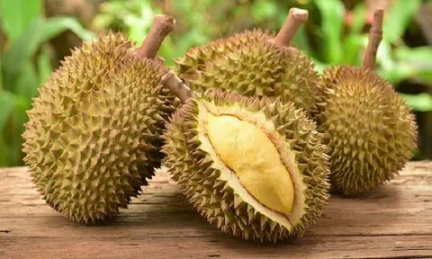 Giá sầu riêng hôm nay 17/7/2025: Có chiều hướng tăng nhẹ