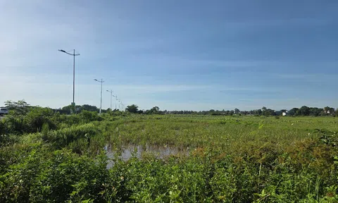 Danko Group và “dấu ấn” tại loạt dự án đô thị ở Thanh Hóa