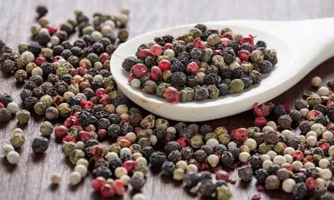 Giá tiêu hôm nay 19/7/2025: Tiếp tục giảm nhẹ