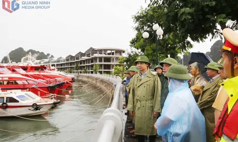 Quảng Ninh: Các khu vực nuôi trồng thủy sản phải khẩn trương đưa thuyền bè vào khu tránh trú bão