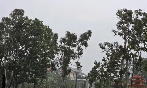 Thanh Hóa- Ninh Bình mưa to, gió mạnh khi bão số 3 gần bờ