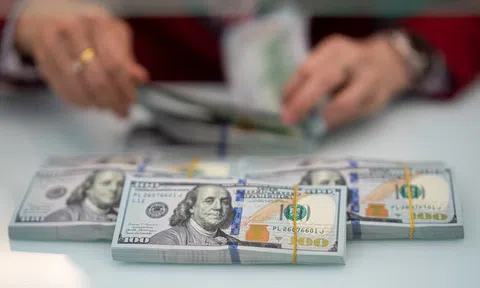 Tỷ giá USD hôm nay 23/7/2025: Đồng USD giảm mạnh
