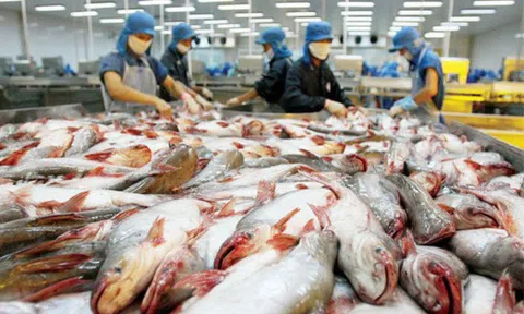 Việt Nam vươn lên vị trí thứ 3 xuất khẩu thủy sản vào thị trường Singapore