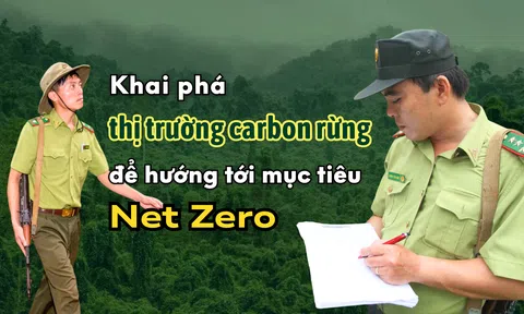 [Emagazine] Khai phá thị trường carbon rừng để hướng tới mục tiêu Net Zero