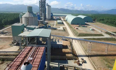 Quyết định thanh tra Dự án Nhà máy Bột giấy Phương Nam