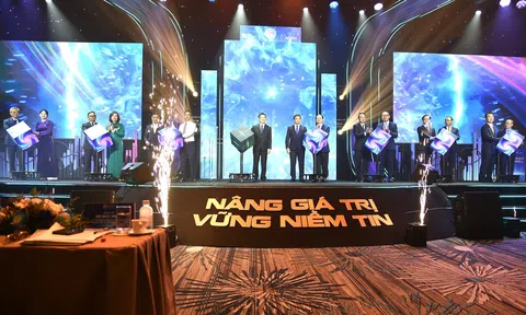 Thị trường chứng khoán Việt Nam đã có những chuyển mình ngoạn mục