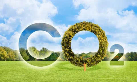 Xây dựng thương hiệu - Cách để nâng cao giá trị của tín chỉ carbon tại Việt Nam