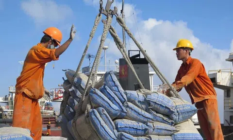 Ngành xi măng đã vượt qua giai đoạn khó khăn nhất