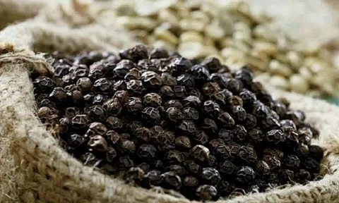 Những điều cần lưu ý cho doanh nghiệp khi xuất khẩu hàng hóa sang Ba Lan