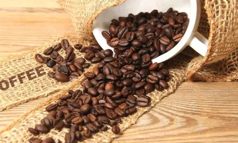 Giá cà phê hôm nay 29/7/2025: Tăng nhẹ