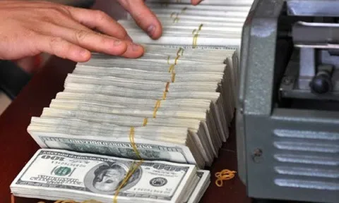 Tỷ giá USD hôm nay 31/7/2025: Đồng USD tiếp tục tăng mạnh