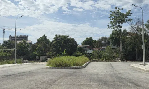 Ưu tiên hàng đầu của phường Đông Quang (Thanh Hóa) là xây dựng hạ tầng đô thị