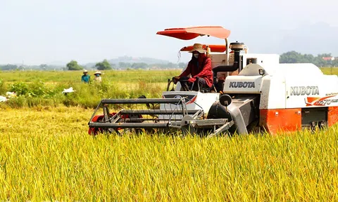 Thúc đẩy sản xuất lúa gạo phát thải thấp từ dữ liệu số